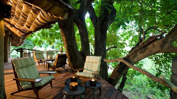 Lake manyara tree lodge tanzania5