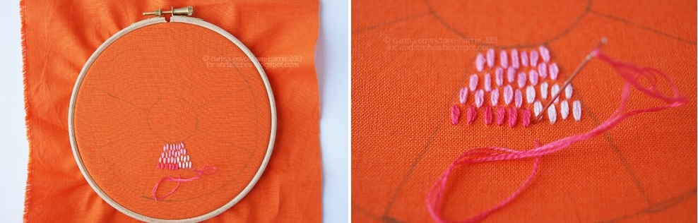 Learning various stitches