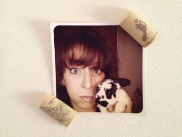 Magnet cork