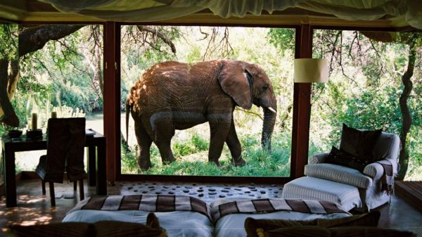 Makanyane safari lodge