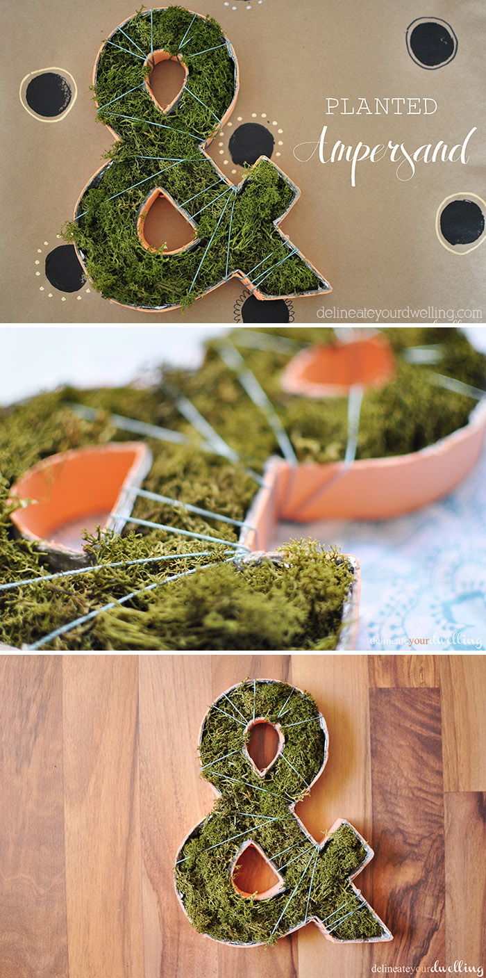 make an ampersand moss planter