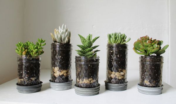 Mason jar planters