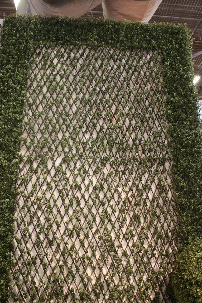 new growth trellis