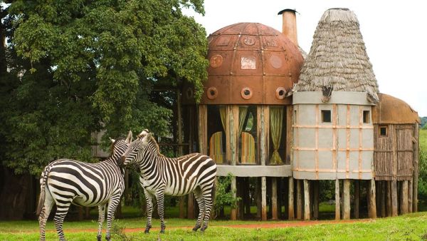 Ngorongoro crater lodge