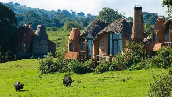 Ngorongoro crater lodge7