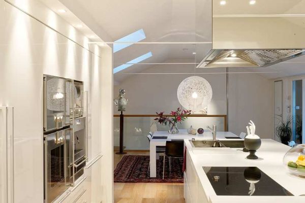 Nordic style duplex5