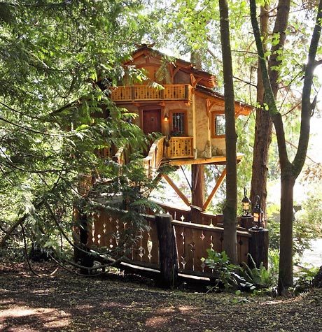 Normal tree house