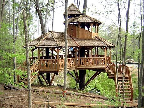 Normal tree house6