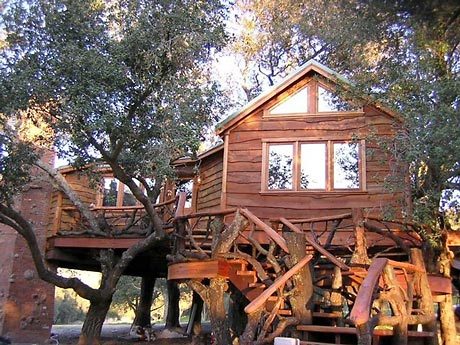 Normal tree house7