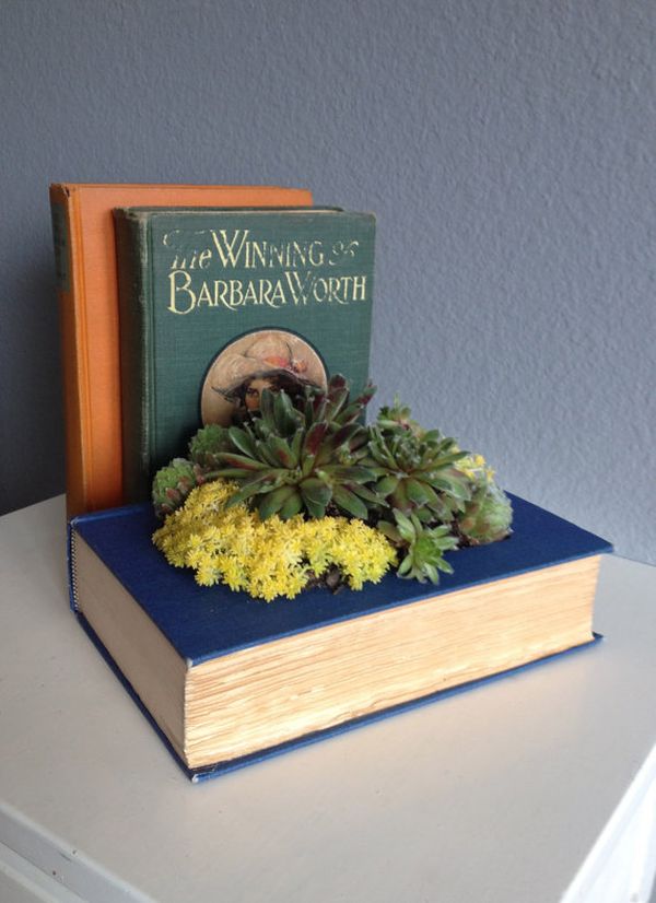 Old book succulent planter