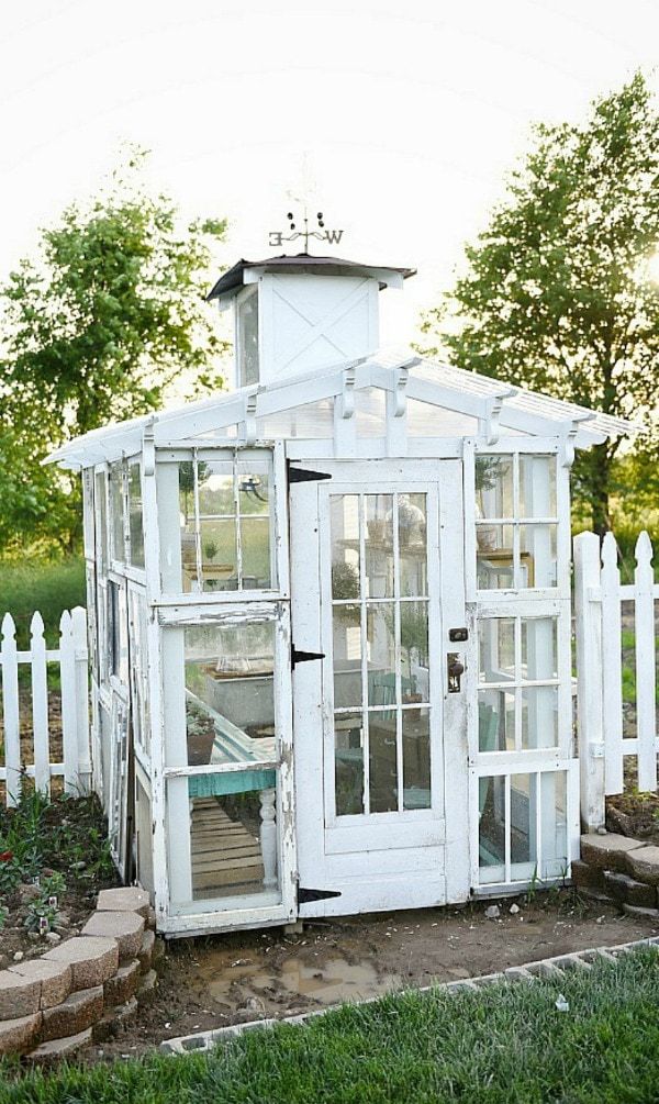 Old windows green house