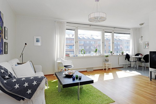 One room apartment scandinavian1