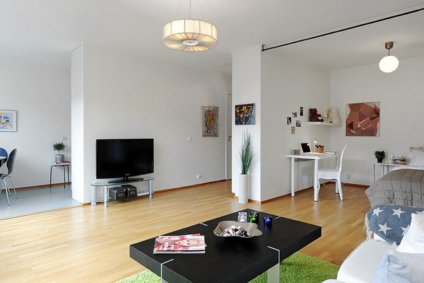 One room apartment scandinavian2