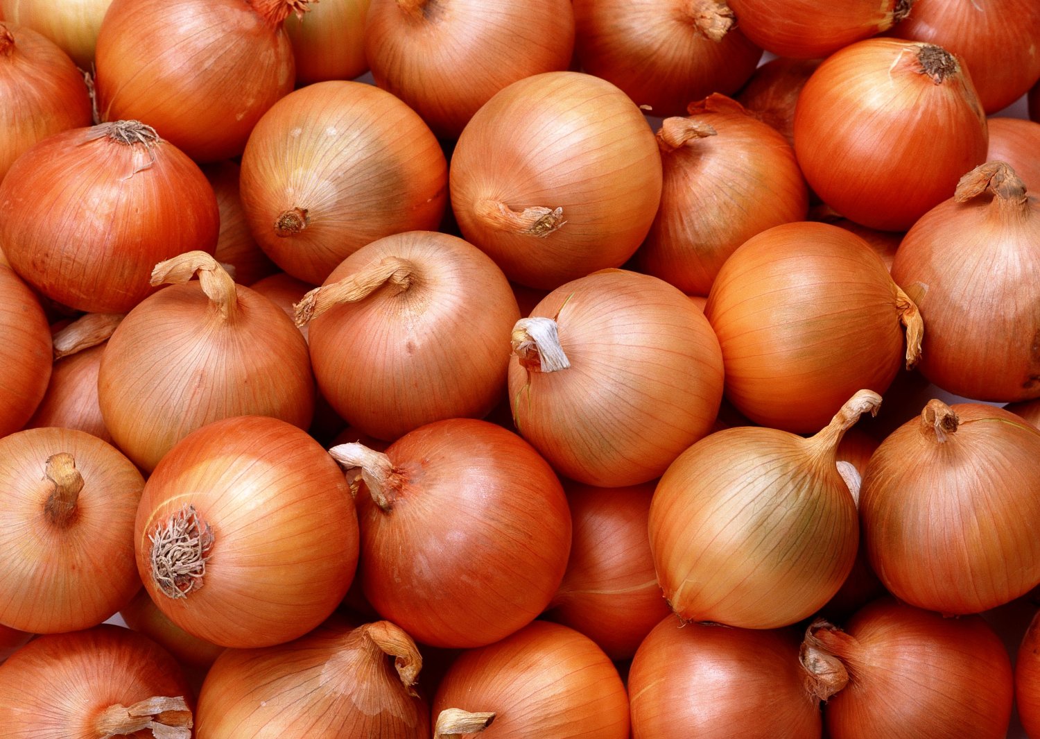 onions