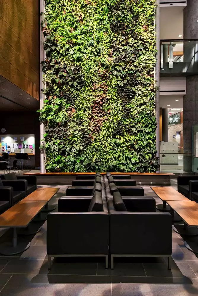 Ottawa university green wall