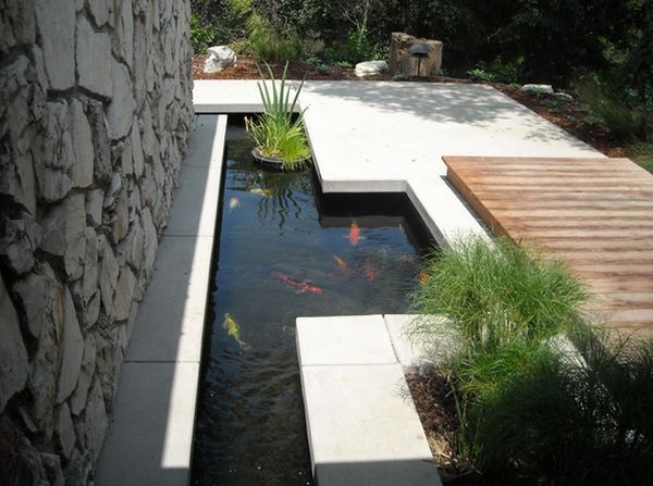 Outdoor koi pond