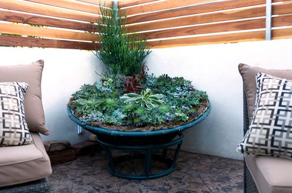 Patio papasan chair turned into planter