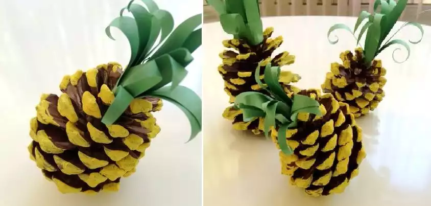 pineapple pine cone