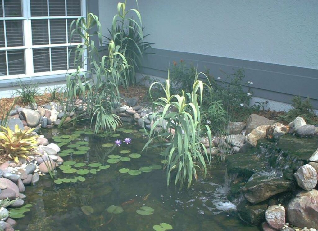 Pond in yard 1024x744