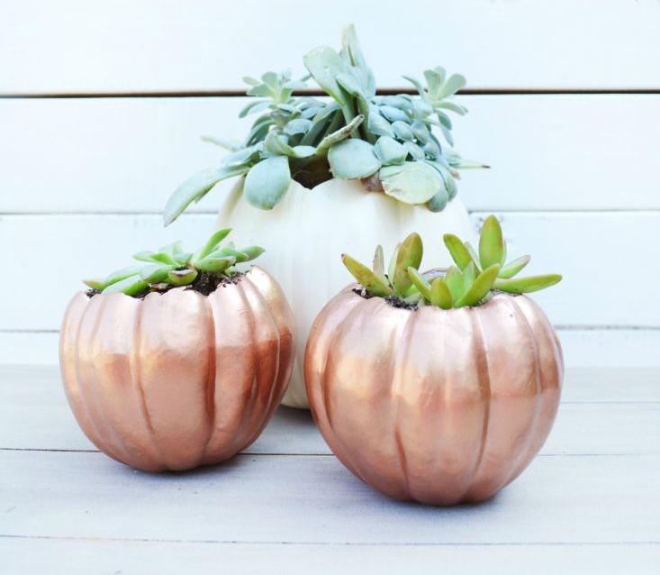 pumpkin planters