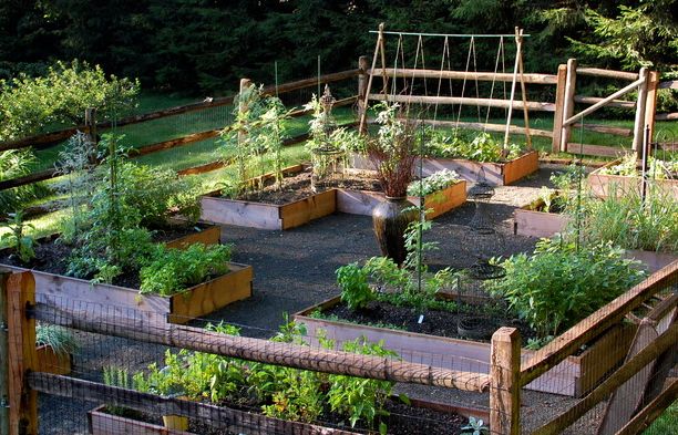 raised beds for garden