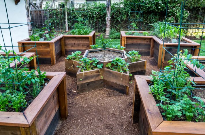 raised vegetable beds project for garden