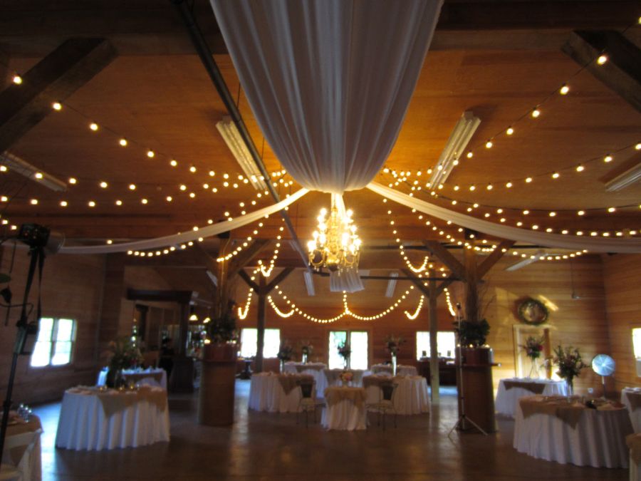 Fabric ribbons and string lights