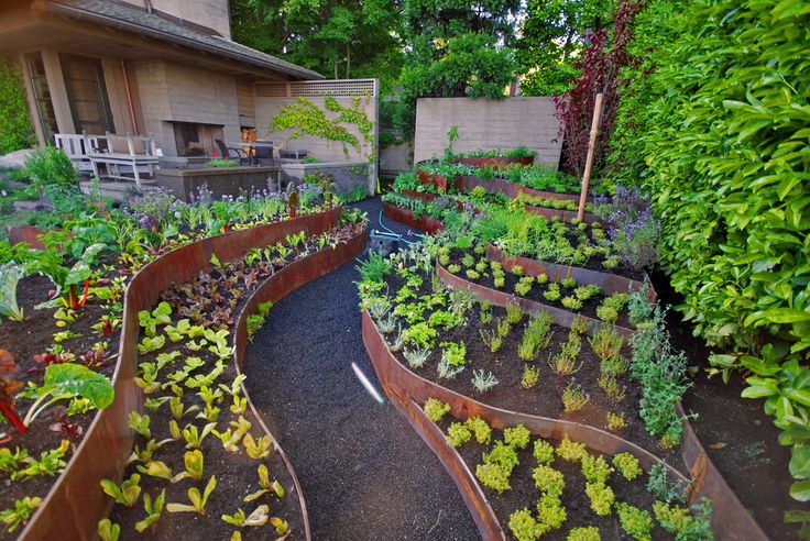 seprate-vegetables-with-a-metalic-edging