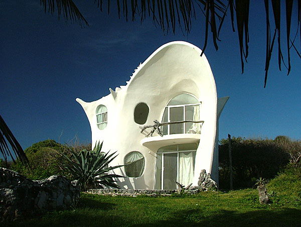 Shell house caribbean4