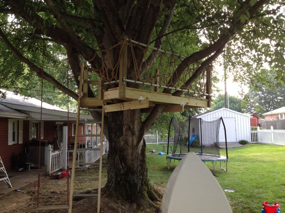 A playground built around a big tree