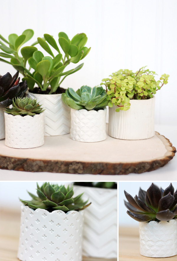 stamped-clay-succulent-pots