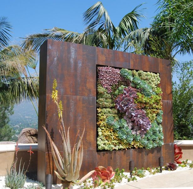 Succulent wall design