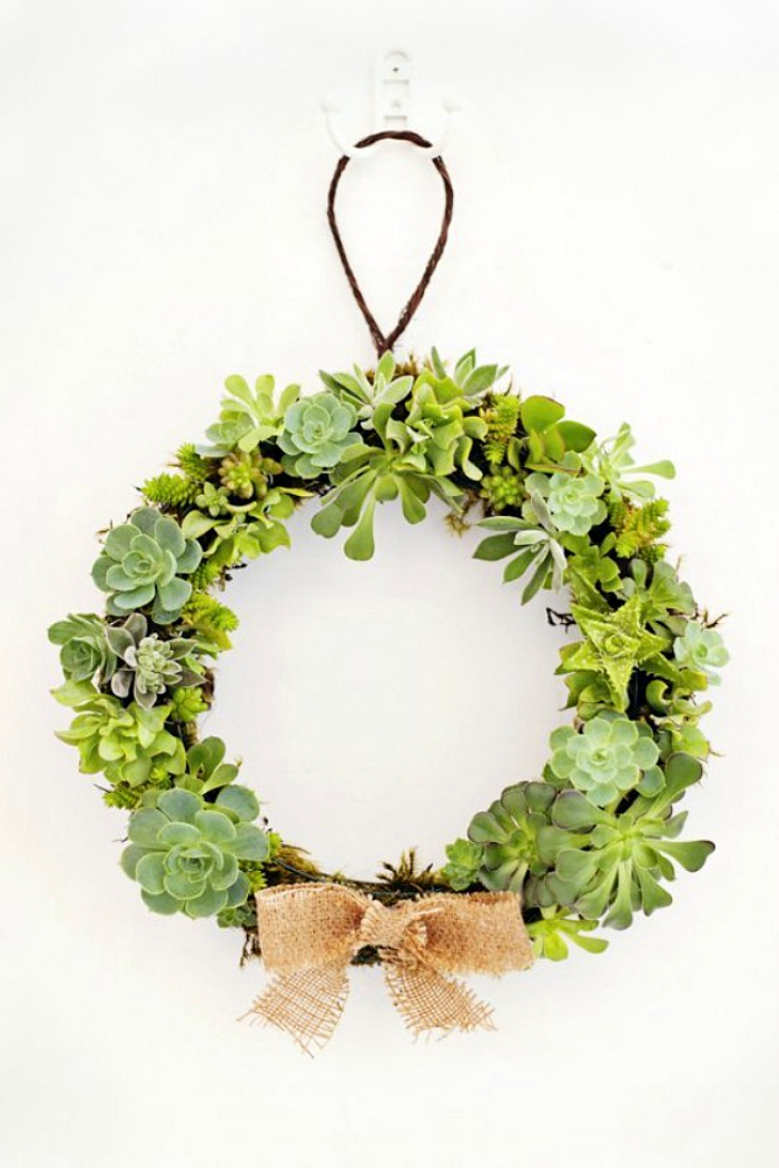 Succulent wreath