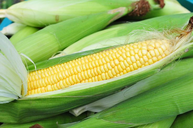 sweet corn