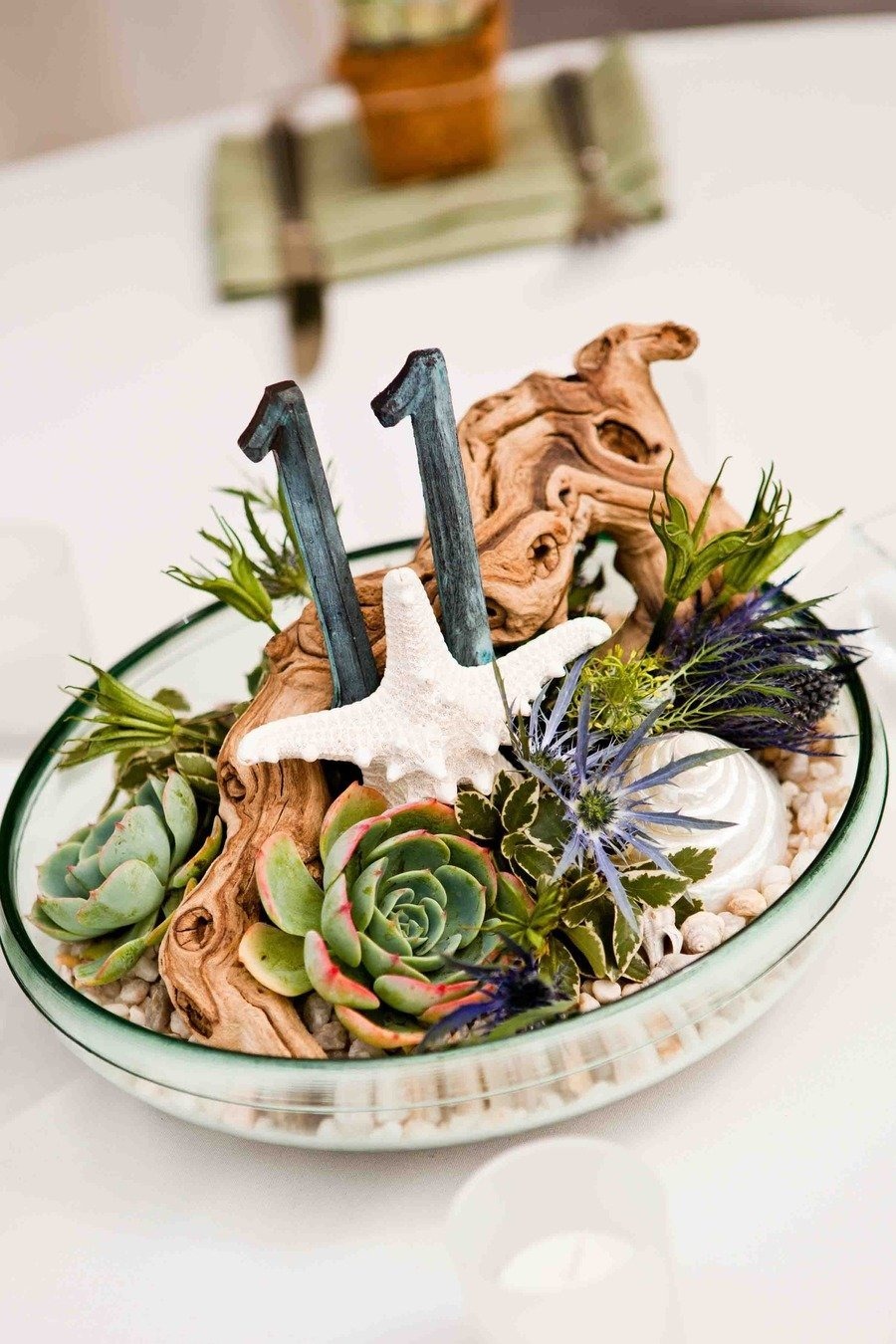 Succulent Arrangements decor