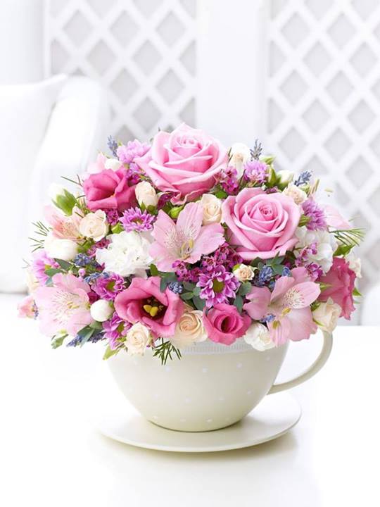 teacup flowers