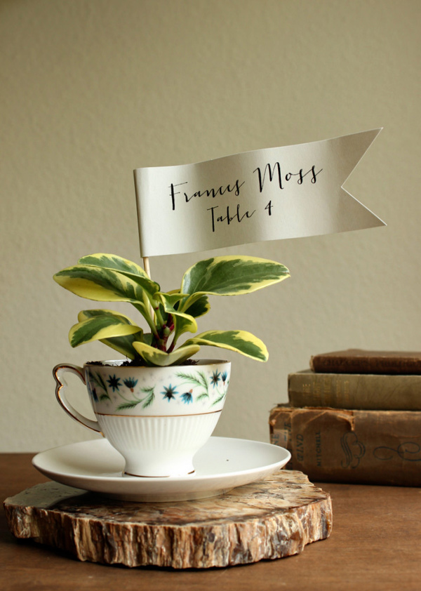 teacup planter favors