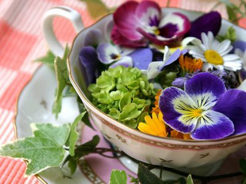 Teacup planters