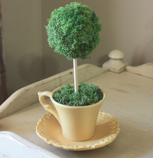 Teacup planters1