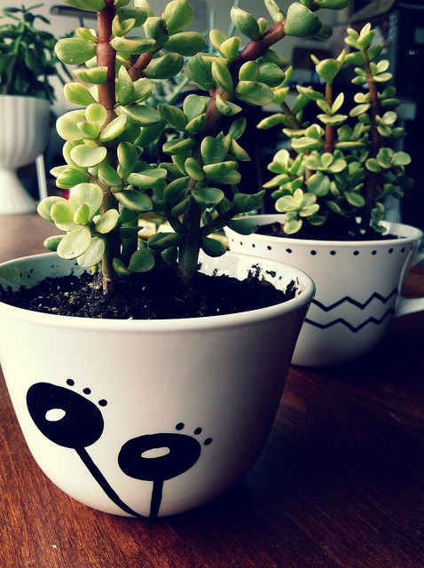 Teacup planters3