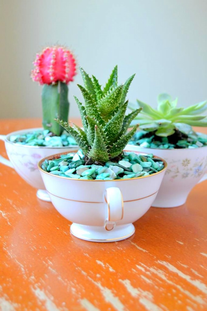 teacup succulent planter