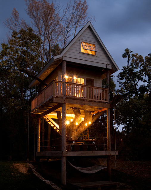 Tree house building