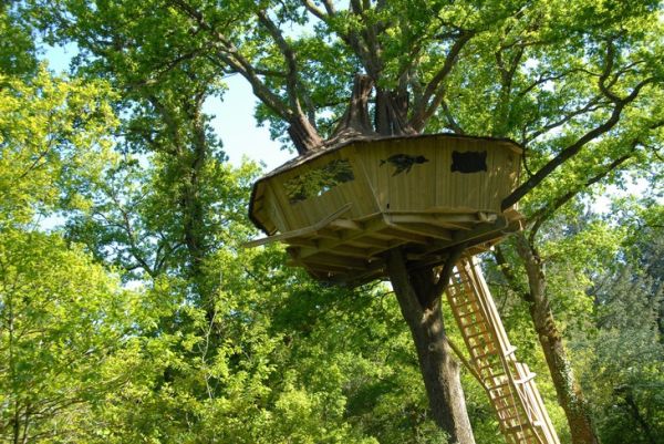 Tree houses alicourts5