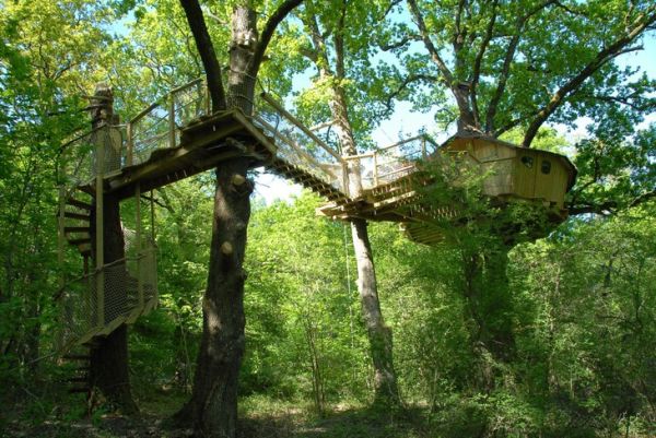 Tree houses alicourts6