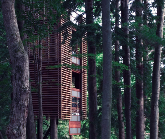 Treehouse5