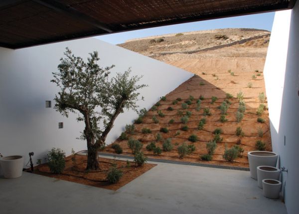 Underground aloni house4