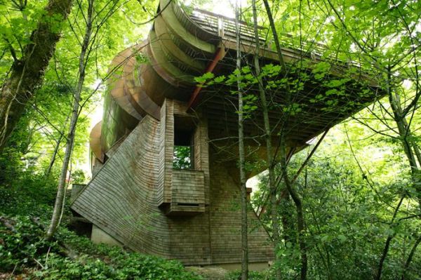 Unusual tree house