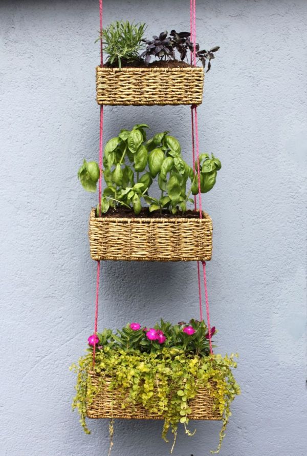 Vertical garden