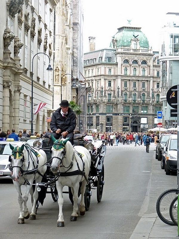 Vienna