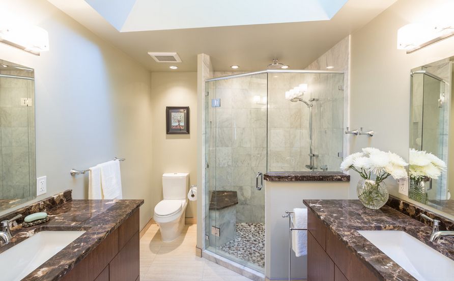 Wall hung or a floor mount model toilet